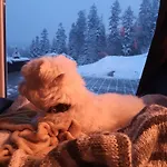 Przystan Family Pod Ochodzita Koniaków