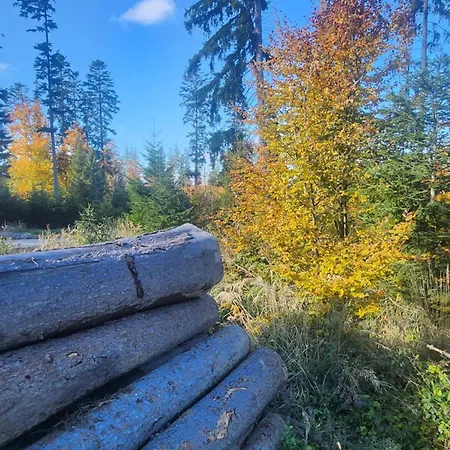 וילה Przystan Family Pod Ochodzita *