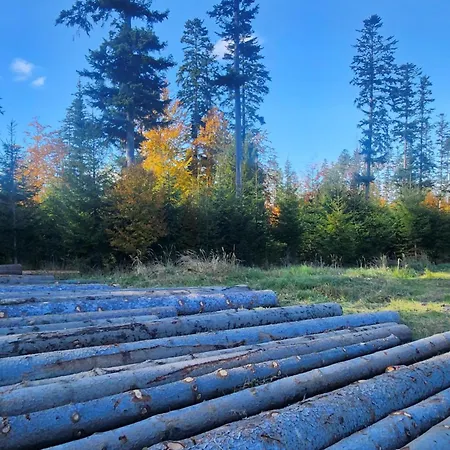 Przystan Family Pod Ochodzita