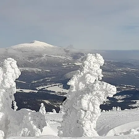 Przystan Family Pod Ochodzita