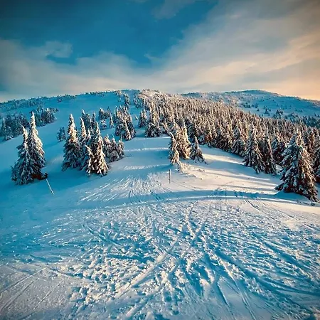 וילה Przystan Family Pod Ochodzita Koniaków