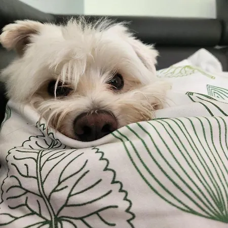 Przystan Family Pod Ochodzita *