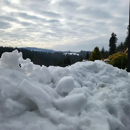 Przystan Family Pod Ochodzita * Koniaków