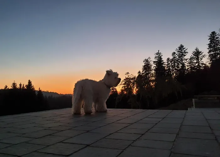 Przystan Family Pod Ochodzita *