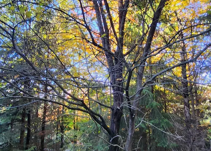 Villa Przystan Family Pod Ochodzita *