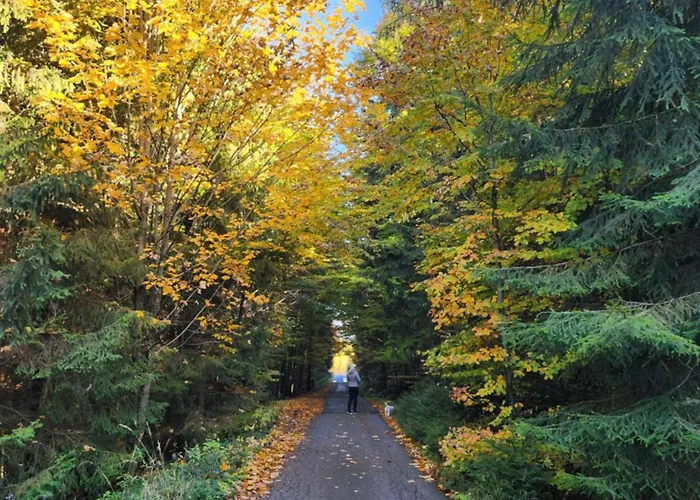 Villa Przystan Family Pod Ochodzita