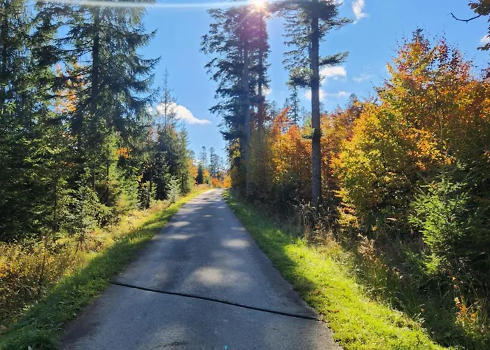 Przystan Family Pod Ochodzita Koniaków