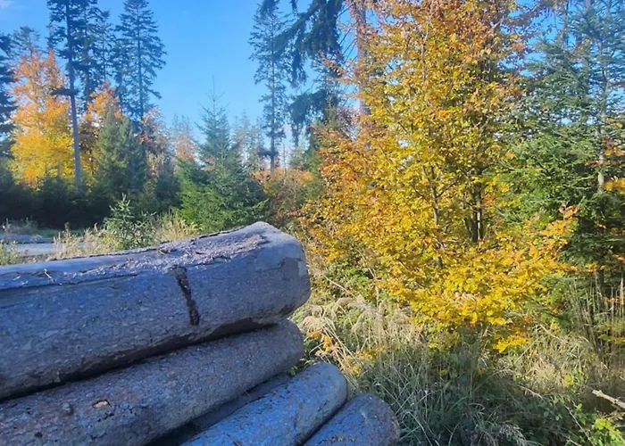 Villa Przystan Family Pod Ochodzita *