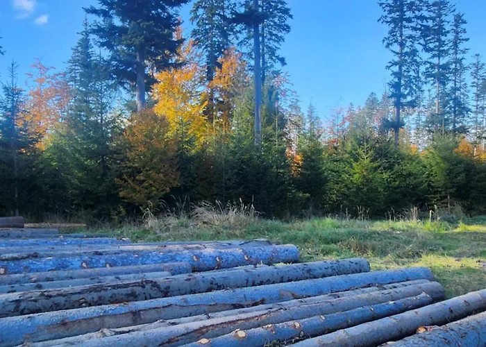 Przystan Family Pod Ochodzita