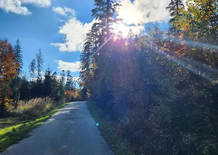 Przystan Family Pod Ochodzita * Koniaków