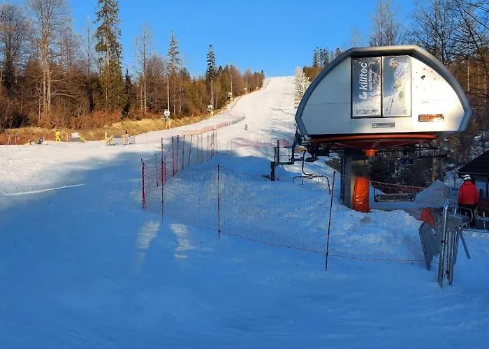 Przystan Family Pod Ochodzita * Koniaków