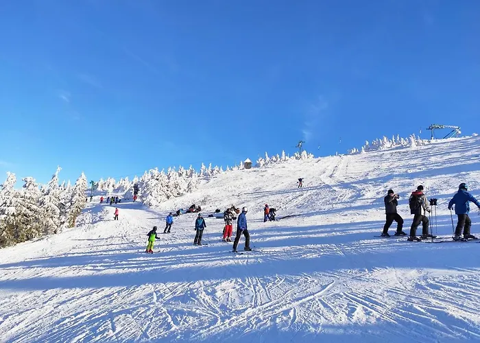 Villa Przystan Family Pod Ochodzita *