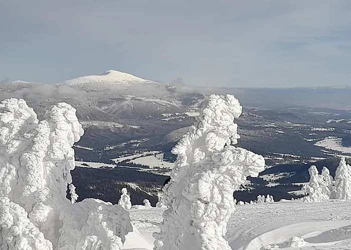 Przystan Family Pod Ochodzita