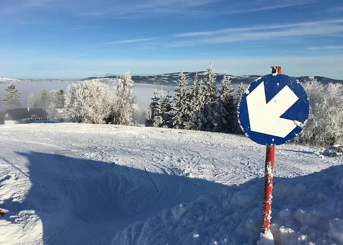 Villa Przystan Family Pod Ochodzita Koniaków