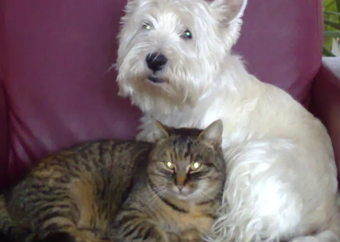 Przystan Family Pod Ochodzita Koniaków