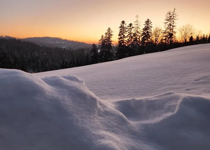 Przystan Family Pod Ochodzita Vila *