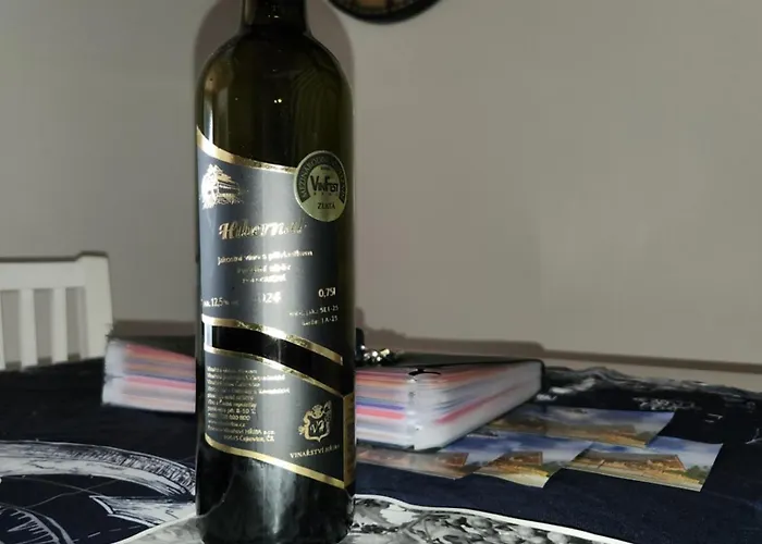 Przystan Family Pod Ochodzita Vila *