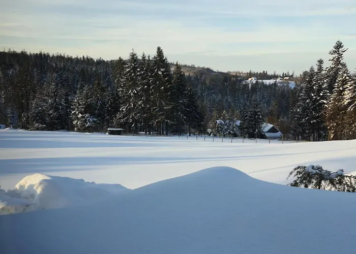 Vila Przystan Family Pod Ochodzita Koniaków