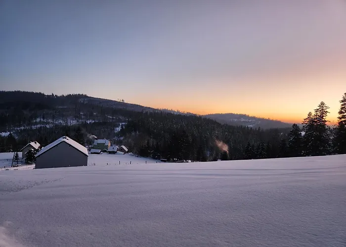 Villa Przystan Family Pod Ochodzita *