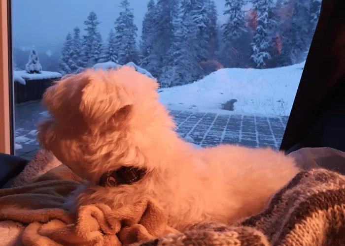 Przystan Family Pod Ochodzita Koniaków