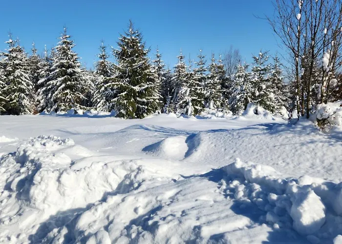 Przystan Family Pod Ochodzita Vila